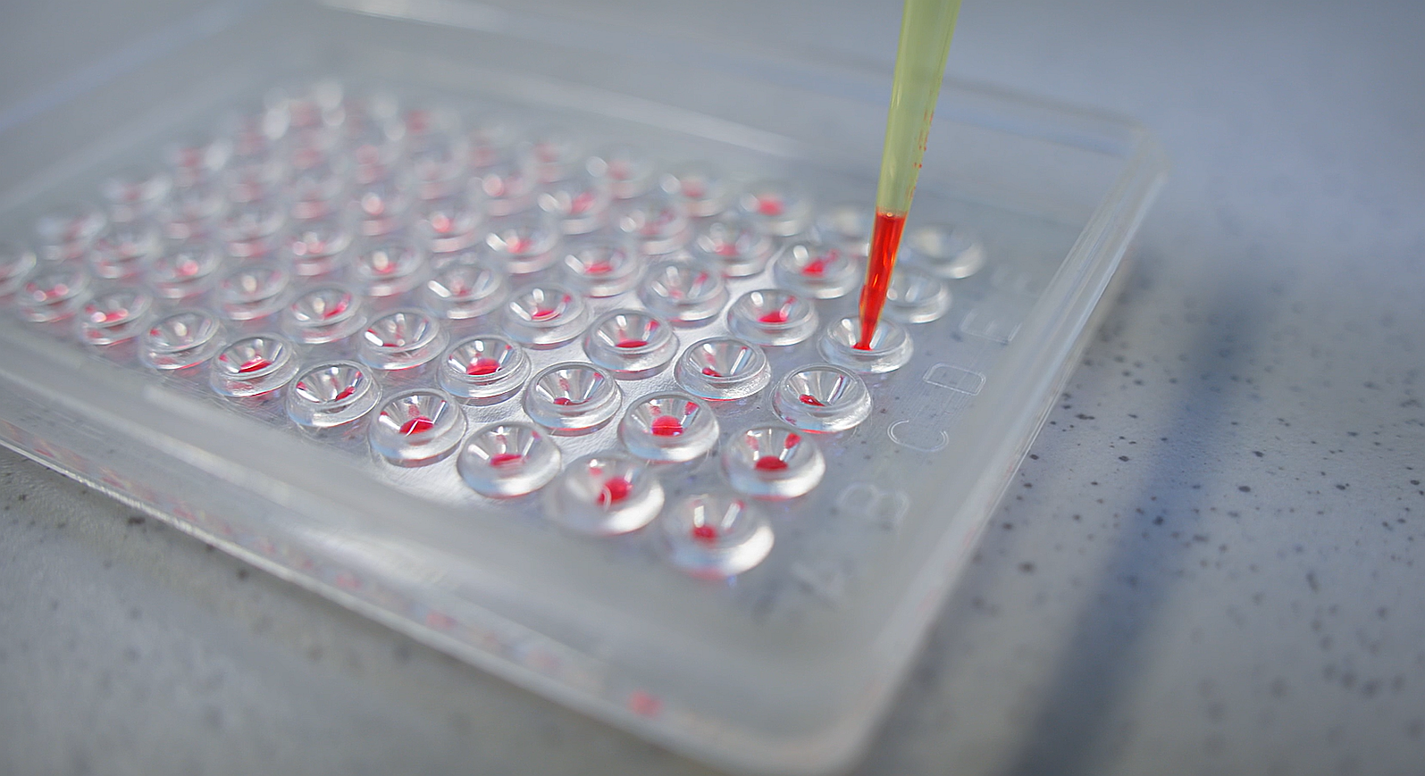 обложка генетика