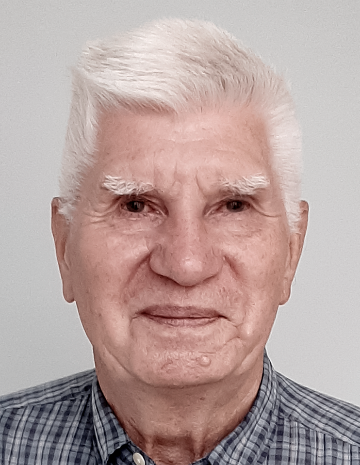 воронин1